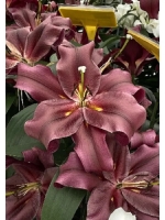 лилия ЛАСТИНГ ЛОВ 