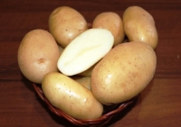 сорт картофеля ранний  ( суперэлита ) Крепыш 1кг