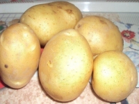 Сорт картофеля суперэлита  среднеранний Сантэ 1кг