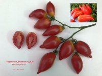 томат Корейский Длинноплодный Korean long-fruited