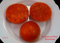 томат Сызранская Роза Оранжевая - 7 сем.  