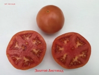 томат Золотой Листопад
